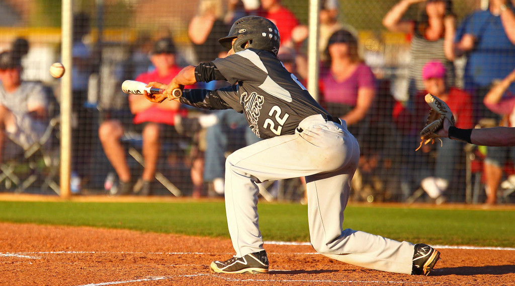 Pine View's Logan Lafamina (22), Desert Hills vs. Pine View, Baseball, May 3, 2016, | Photo by Robert Hoppie, ASPpix.com, St. George News