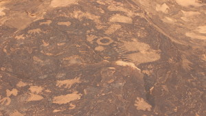 Petroglyphs at the Land Hill site in Santa Clara are some of the cultural resources the BLM is tasked with protecting. St. George, Utah, May 5, 2016 | Photo by Don Gilman, St. George News