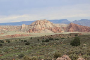 Search and rescue personnel rescued a family of five when the two adults and three children ran out of water Monday in the Babylon section of the Red Cliffs National Conservation Area, Leeds, Utah, May 30, 2016 | Photo by Don Gilman, St. George News