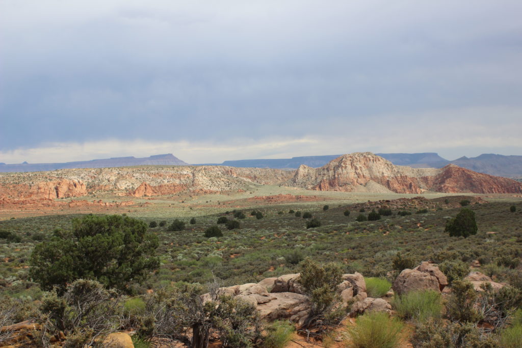 Search and rescue personnel rescued a family of five when the two adults and three children ran out of water Monday in the Babylon section of the Red Cliffs National Conservation Area, Leeds, Utah, May 30, 2016 | Photo by Don Gilman, St. George News