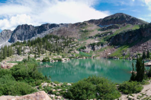 Uinta-Wasatch-Cache National Forest, date and location not given | Photo courtesy of Wikipedia, St. George News