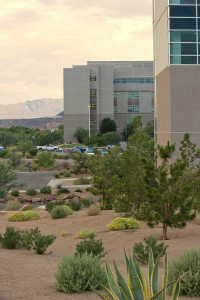 Water-wise plants are an important part of water conservation, Dixie Regional Medical Center grounds, date unspecified | Photo courtesy Washington County Water Conservancy District, St. George News