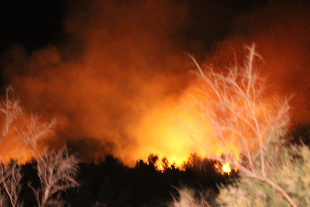 Fire getting larger with high winds in the area behind Hafen Lane Park, close to the Virgin River, Mesquite, Nev., May 14, 2016 | Photo by Cody Blowers, St. George News