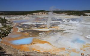 Porcelain Springs in Norris Geyser Basin, Yellowstone National Park, August 2014 | Photo courtesy of the National Park Service, St. George News