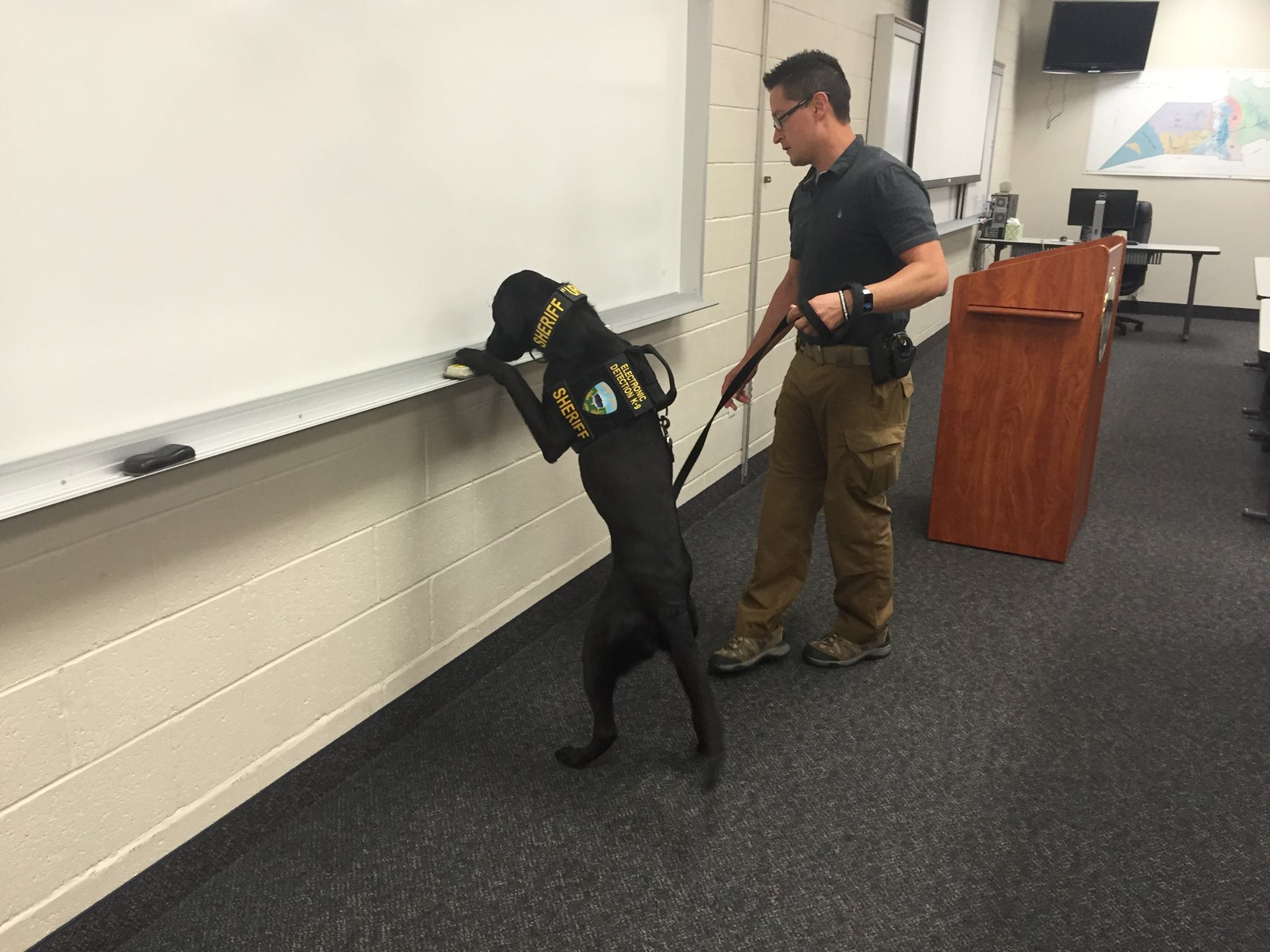 URL, a K-9 specially trained to sniff out electronic storage devices, and his handler, Weber County Sheriff Detective Cam Hartman, Odgen, Utah, June 21, 2016 | Photo courtesy of the Weber County Sheriff's Office, St. George News