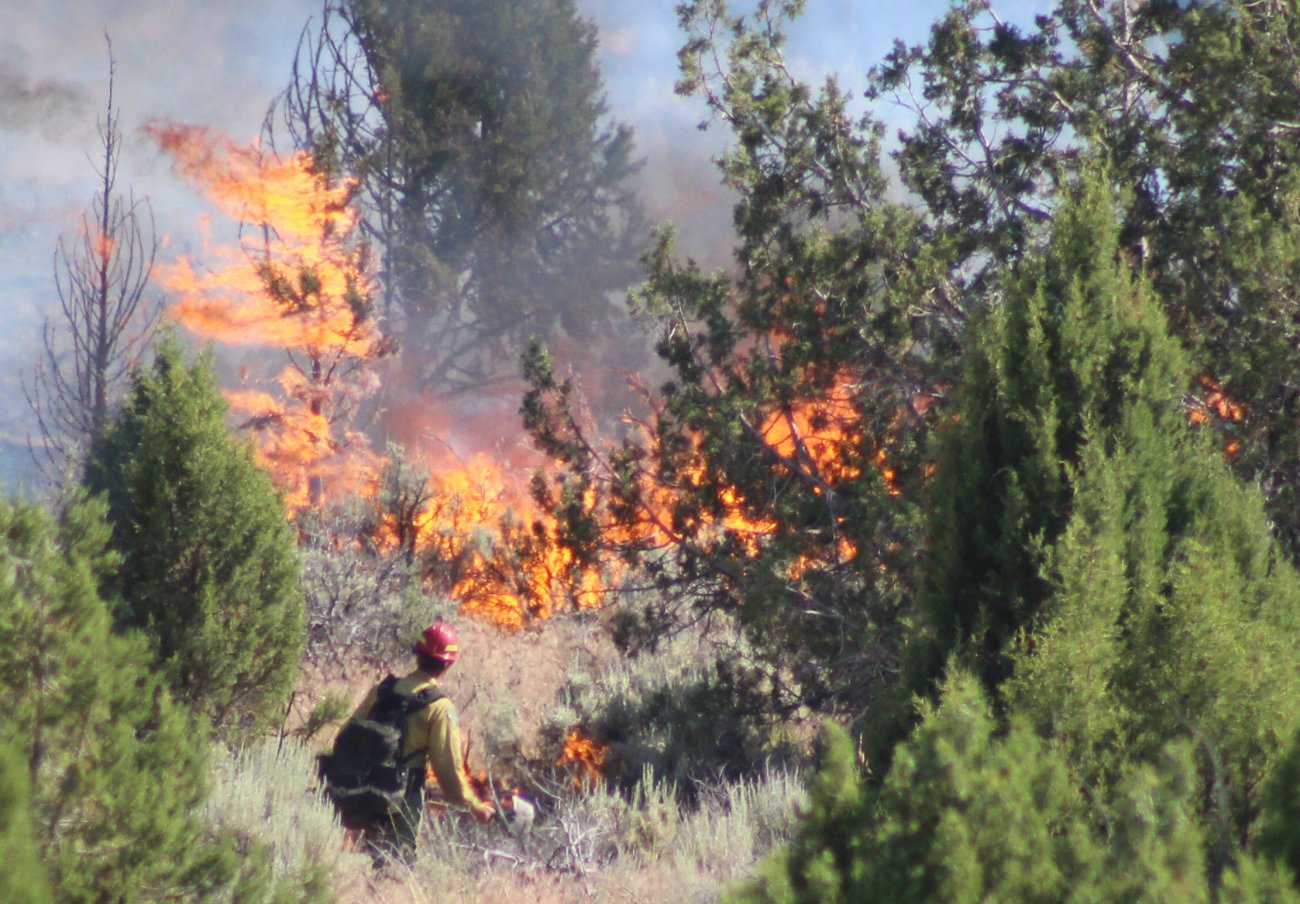 Firefighters from multiple agencies responded to the Spring Hollow Fire in the Dixie National Forest, Washington County, Utah, June 23, 2016 | Photo by Mori Kessler, St. George News