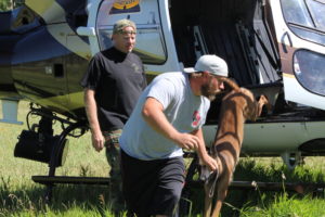 Officers and their K-9s practice getting in and out of the helicopter this week for K-9 training on Kolob Mountain, Utah, July 12, 2016 | Photo by Tracie Sullivan, St. George/Cedar City News