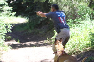 One of the officers shoots off a gun with his K-9 by his side during a two-day training this week on Kolob Mountain, Utah, July 12, 2016 | Photo by Tracie Sullivan, St. George/Cedar City News