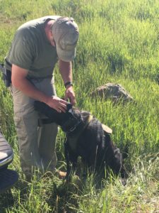 Iron County Sheriff Deputy Shawn Peterson cleans up his police K-9 at the training this week on Kolob Mountain, Utah, July 12, 2016 | Photo by Tracie Sullivan, St. George/Cedar City News