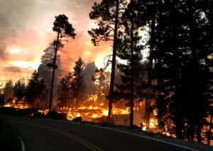  Fire burns along Cape Royal Road during nighttime burnout operations on the Fuller Fire on July 17, 2016 | Photo courtesy of Grand Canyon NPS, St. George News