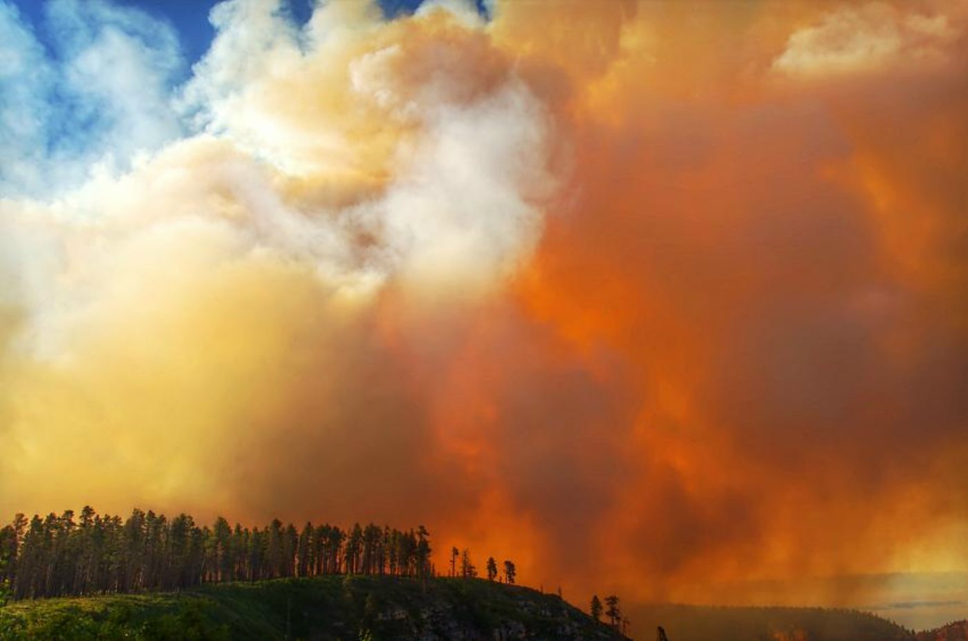 Fuller fire, located along the North Rim of the Grand Canyon, Arizona, North Rim, Grand Canyon, Arizona, July 12, 2016 | Photo courtesy of Chstrian Schroll via Inciweb, St. George News