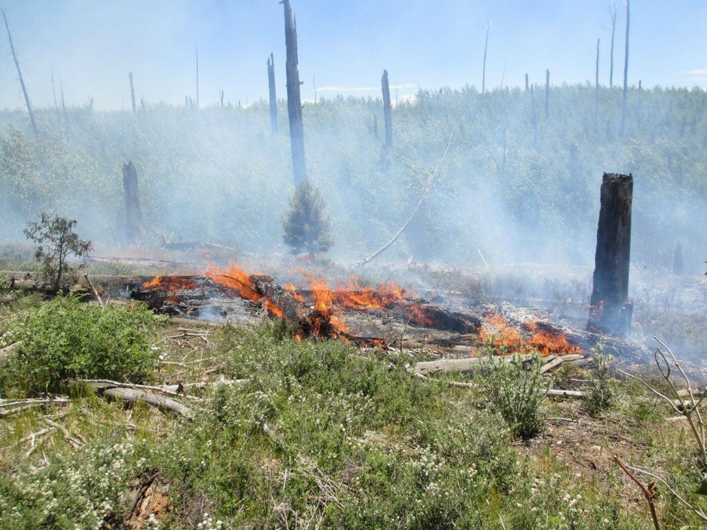 Active burning in dead and down forest litter (fuel), North Rim, Grand Canyon, Arizona, July 11, 2016 | Photo courtesy of the National Park Service via Inciweb, St. George News