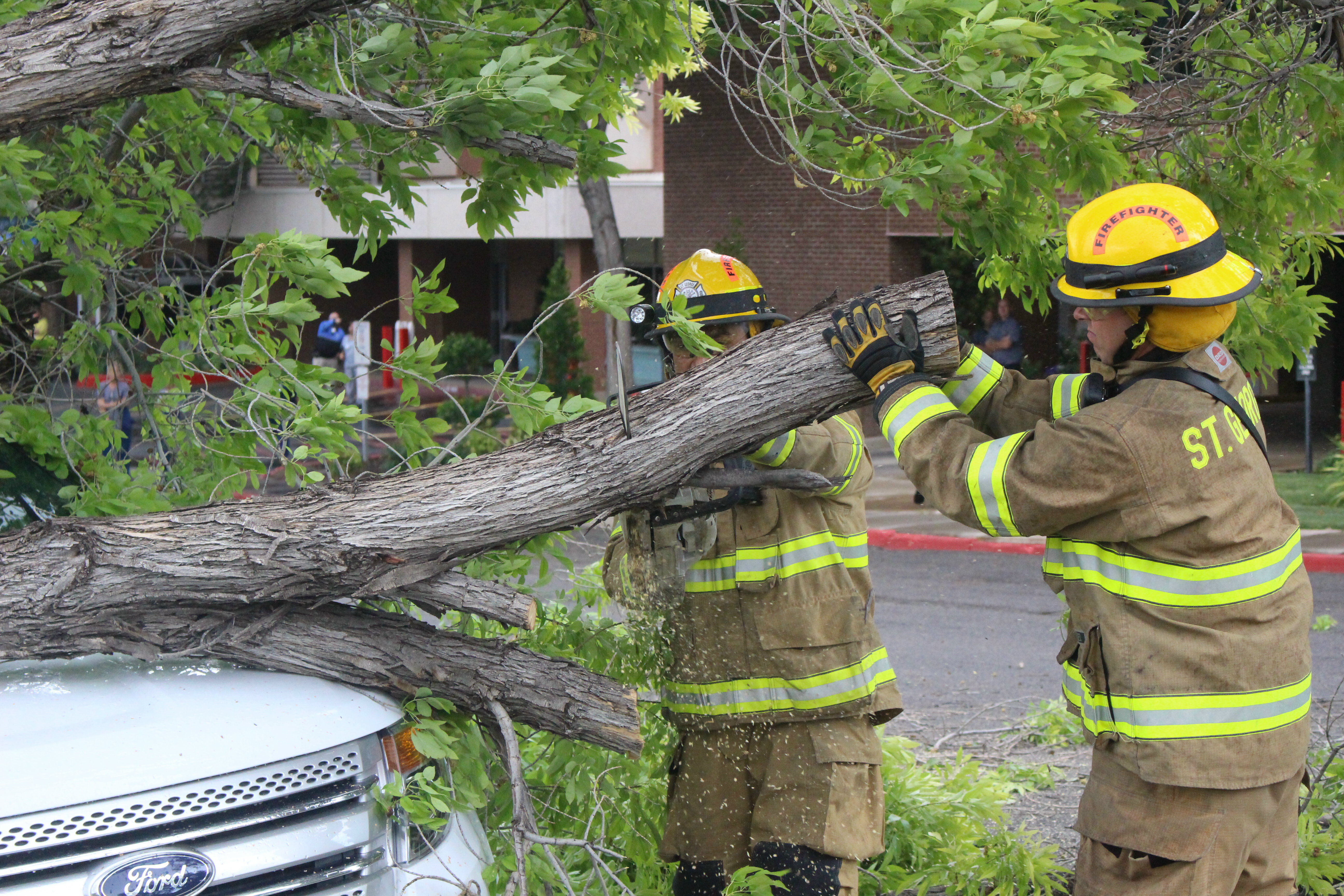 Firefighters responded to the call of a downed power line and a tree crashing unto an SUV on 500 South by the 400 East Campus of Dixie Regional Medical Center. The incident was just one of a handful of instances caused by a passing thunder storm that snapped tree limbs and power lines in other parts of the city, St. George, Utah, July 1, 2016 | Photo by Mori Kessler, St. George News