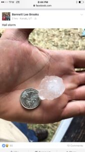 Large chunks of hail fell in Kanab during a fast-moving thunderstorm Wednesday, July 10, 2016, Kanab, Utah |Photo courtesy Bennett Lee Brooks, St. George News