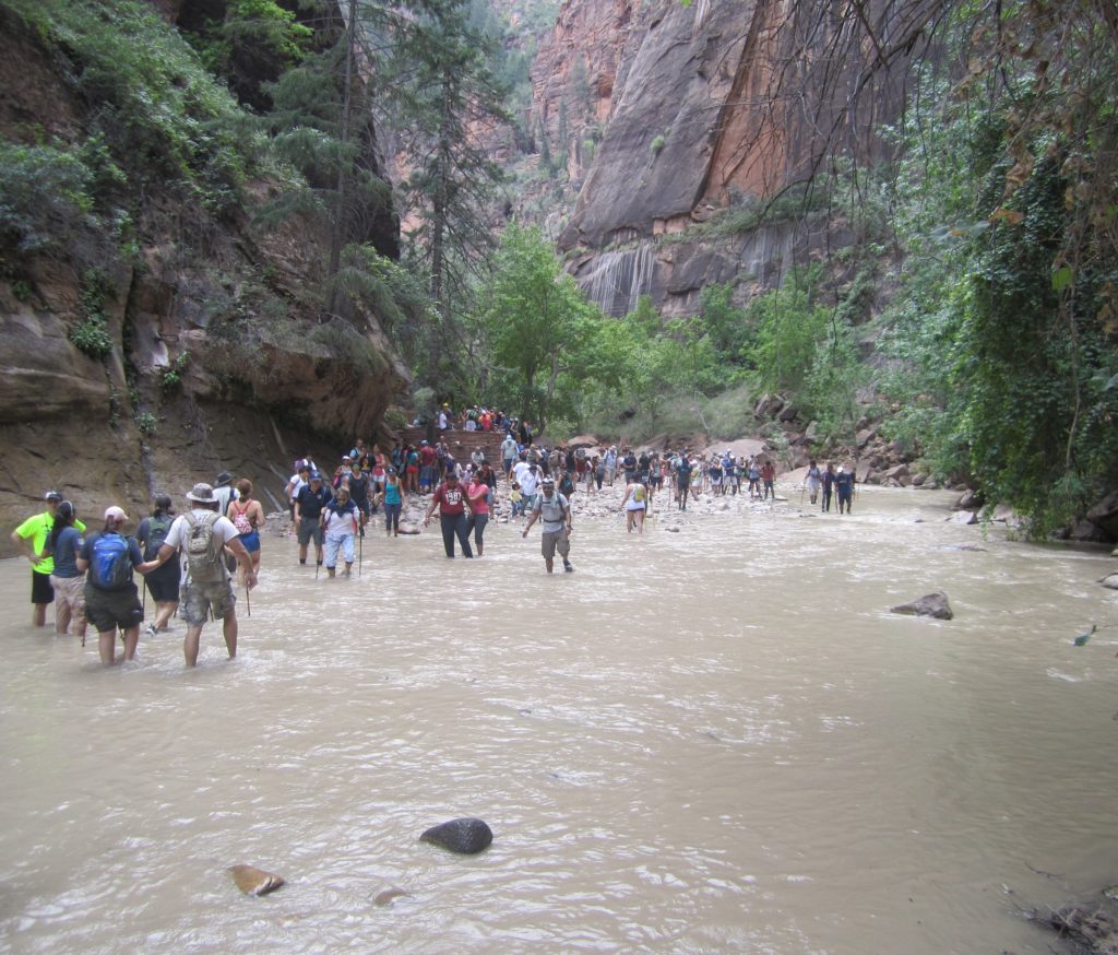 Hikers in The Narrows in Zion National Park over the 2015 Labor Day weekend, Springdale, Utah, Sept. 6, 2015 | Photo courtesy of Zion National Park, St. George News