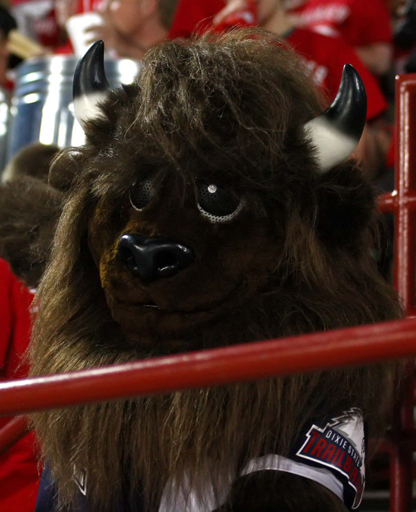 Dixie State mascot Brooks, Dixie State University vs. New Mexico Highlands University, Football, St. George, Utah, Sept. 1, 2016, | Photo by Robert Hoppie, ASPpix.com, St. George News