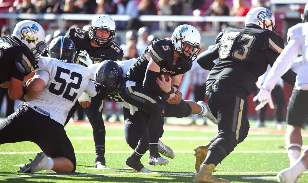 Desert Hills' Quinn Kiser (5), Desert Hills vs. Pine View, 3AA State Championship, Football, Salt Lake City, Utah, Nov. 18, 2016, | Photo by Robert Hoppie, ASPpix.com, St. George News