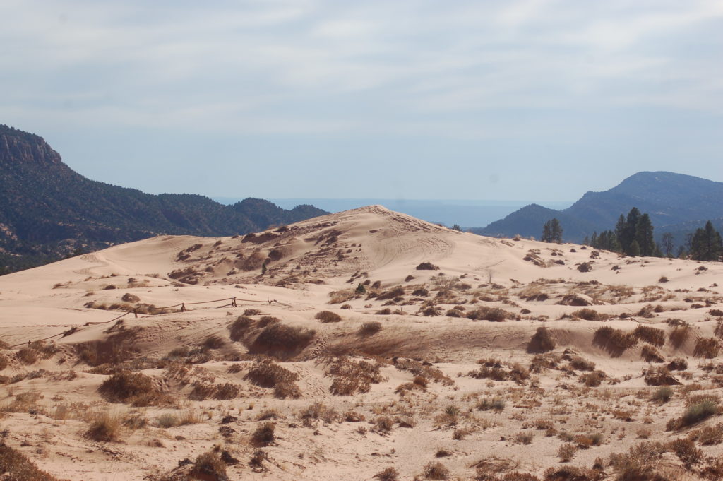 Mounds of coral-colored sand shape the landscape of Coral Pink Sand Dunes State Park, Utah, Nov. 26, 2016 | Photo by Hollie Reina, St. George News