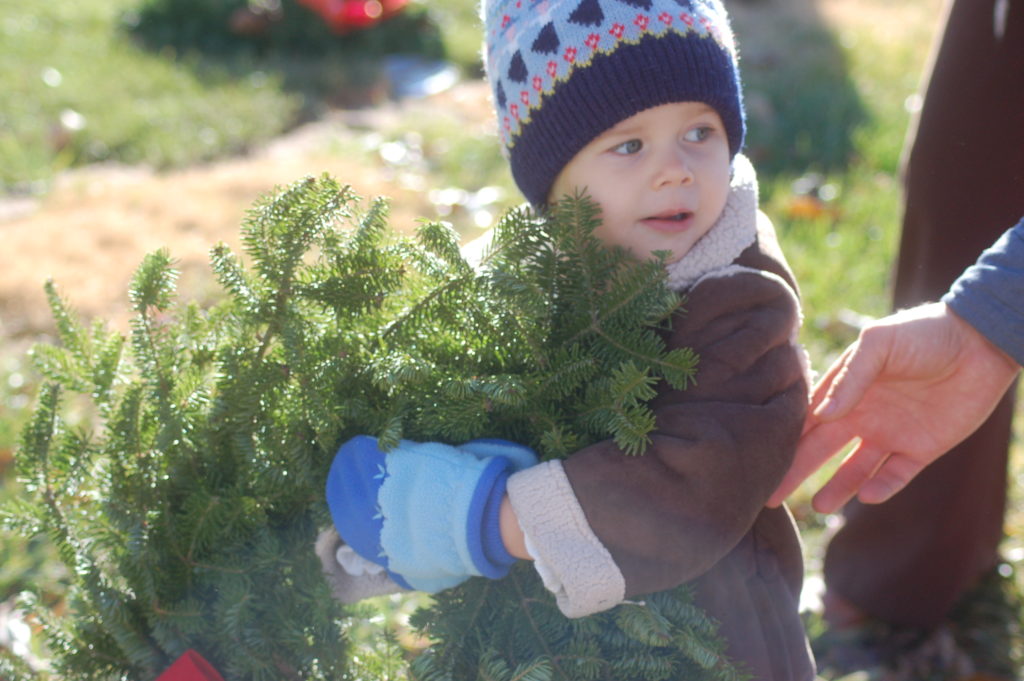 Emma Connor, age 2, carries a Christmas wreath to place on the grave of a veteran at Tonaquint Cemetery, St. George, Utah, Dec. 17, 2016 | Photo by Hollie Reina, St. George News