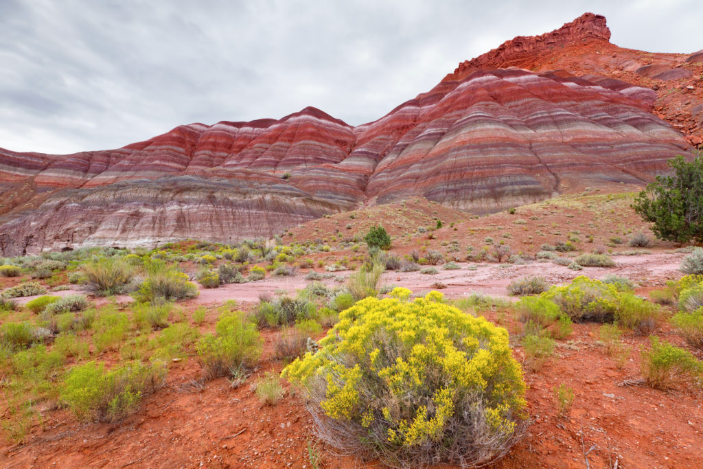 Paria Mountains - Kanab - Grand Staircase-Escalante National Monument