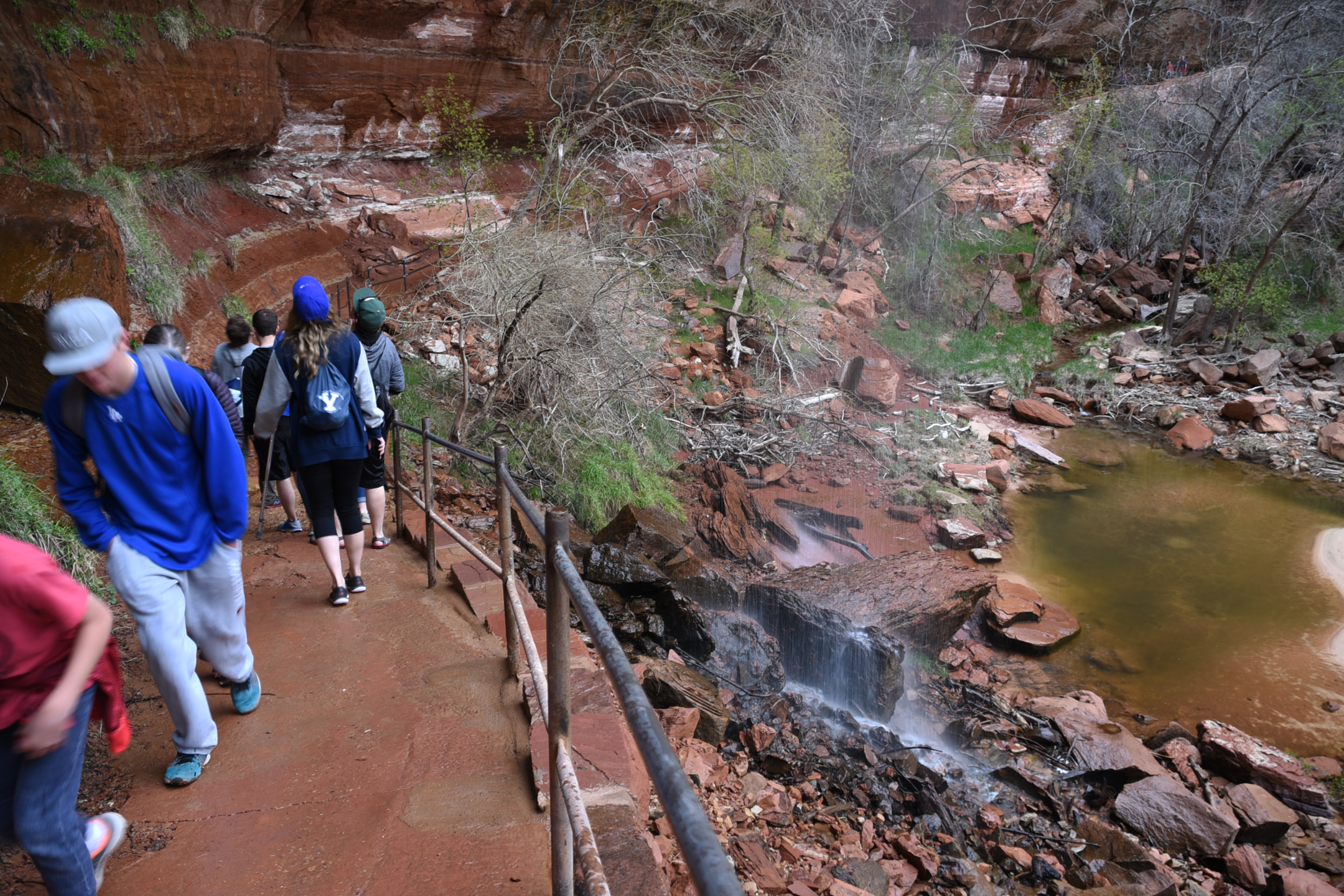 Lower Emerald Pool Trail In Zion National Park Reopens Following Landslide St George News