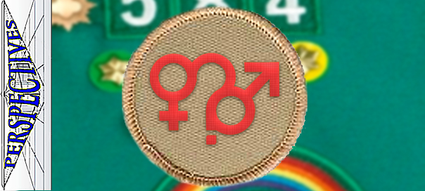 Perspectives The Sexual Identity Merit Badge St George News