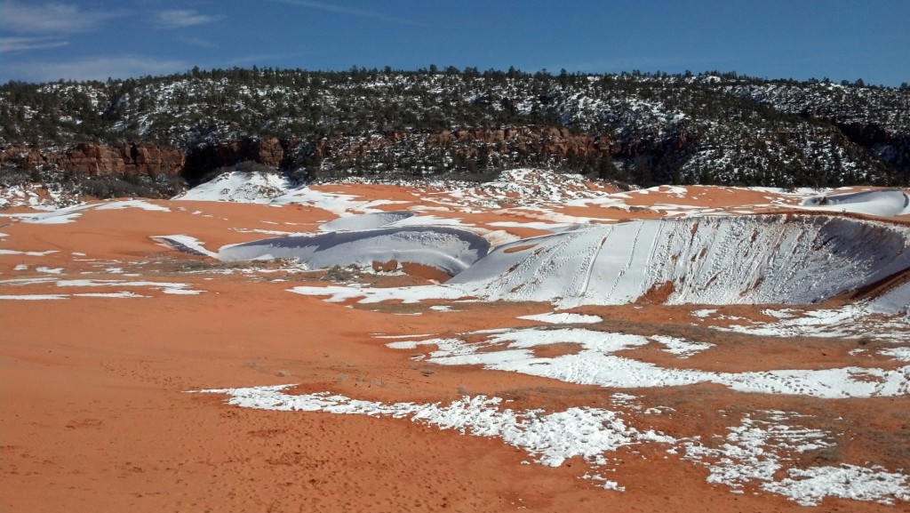 Coral Pink Sand Dunes Utah STGnews.com photo