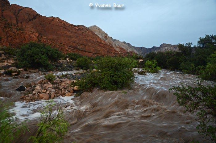 Flash flood Snow Canyon State Park STGnews