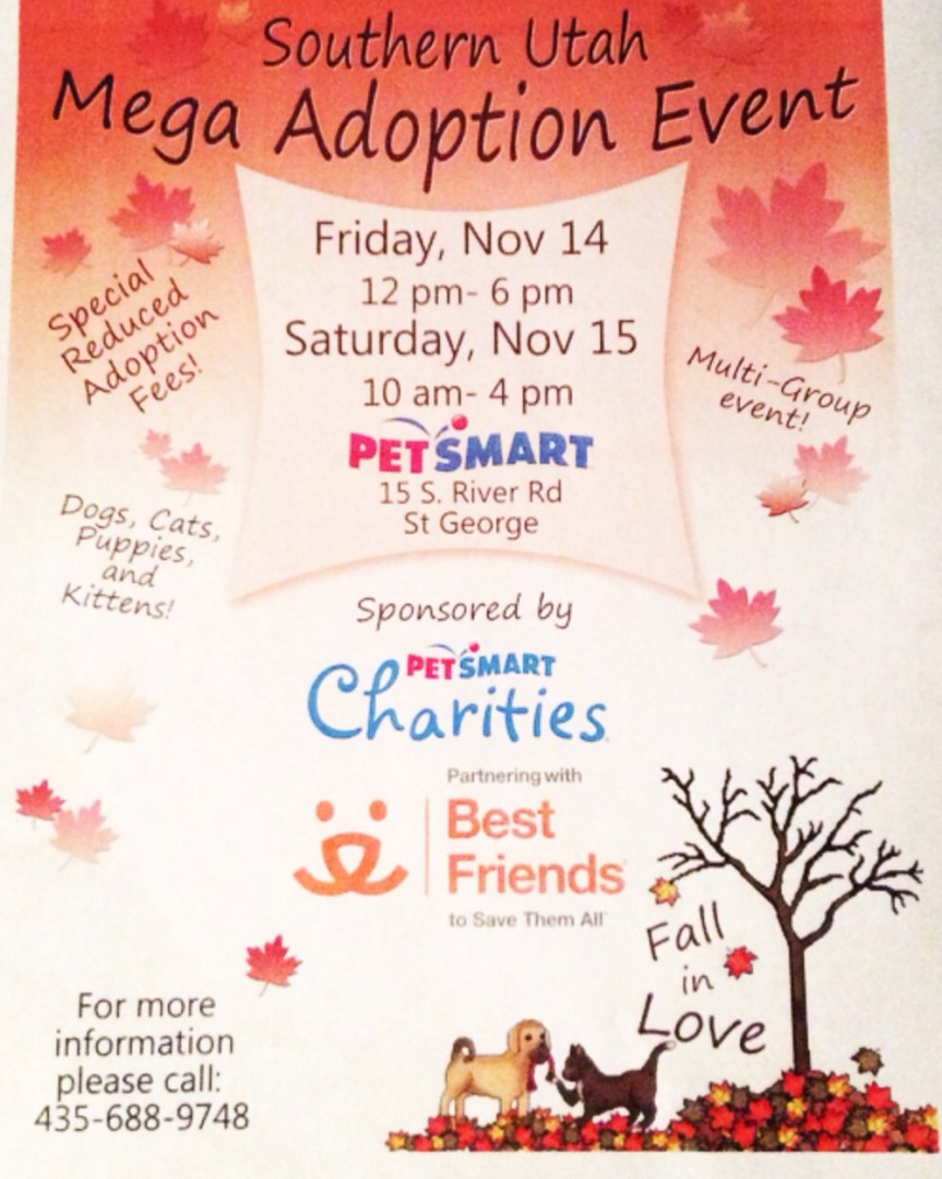 Mega pet adoption event - St George News