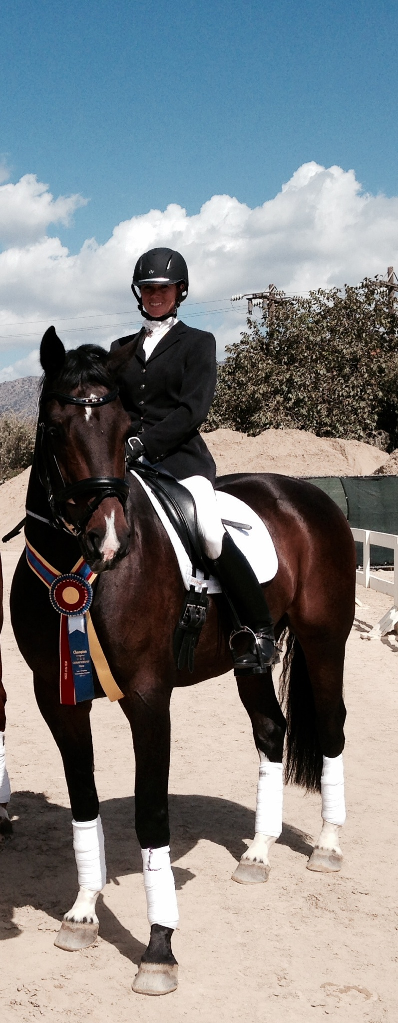 Classical Riding Thrives In St George Dressage Riders Qualify For