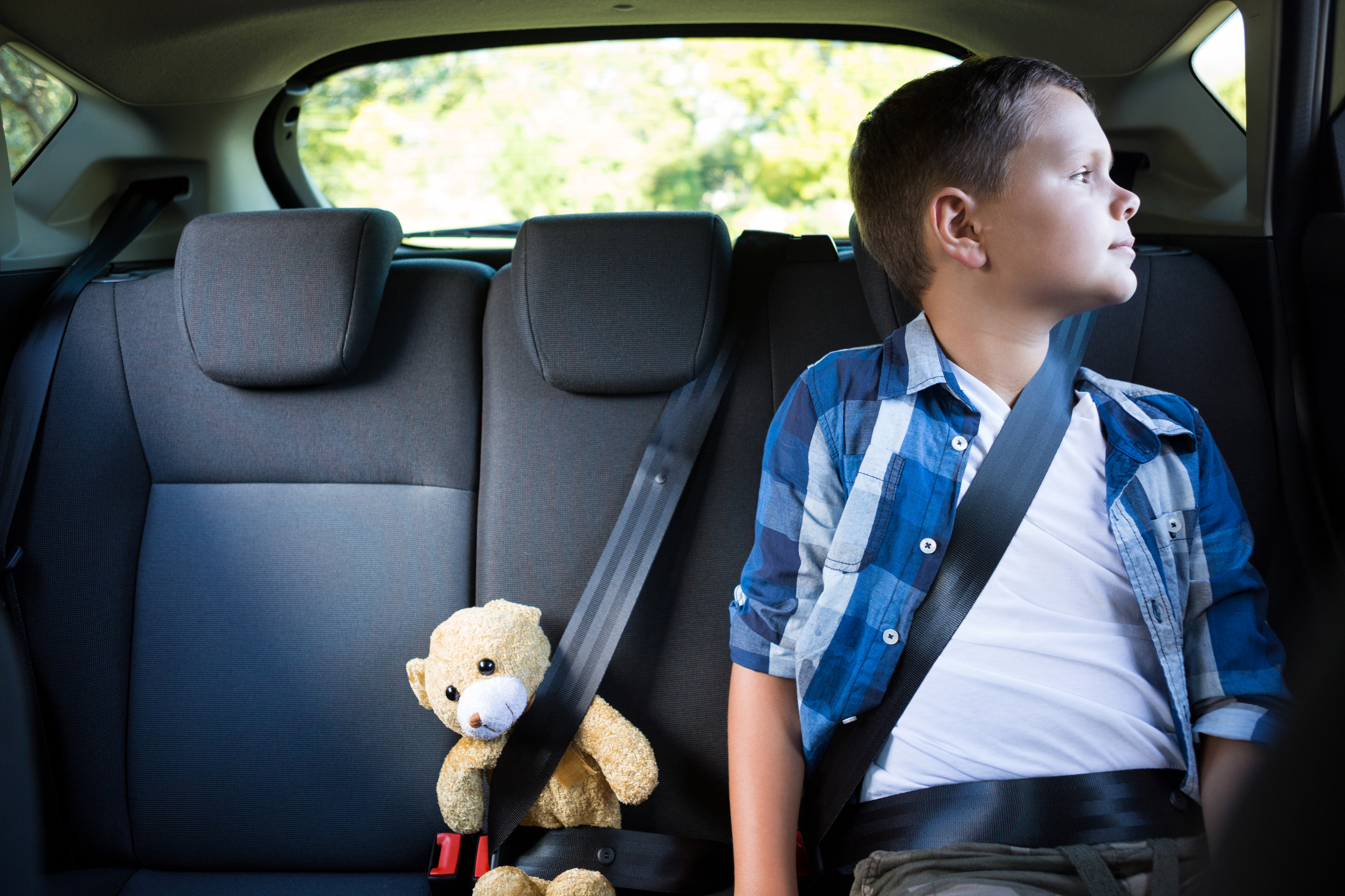 Дети на переднем пассажирском сидении. Детский ремень безопасности в машину. Машина для детей. Ребёнок в автомобиле пристёгнут. Пристегнутый ребенок в машине.