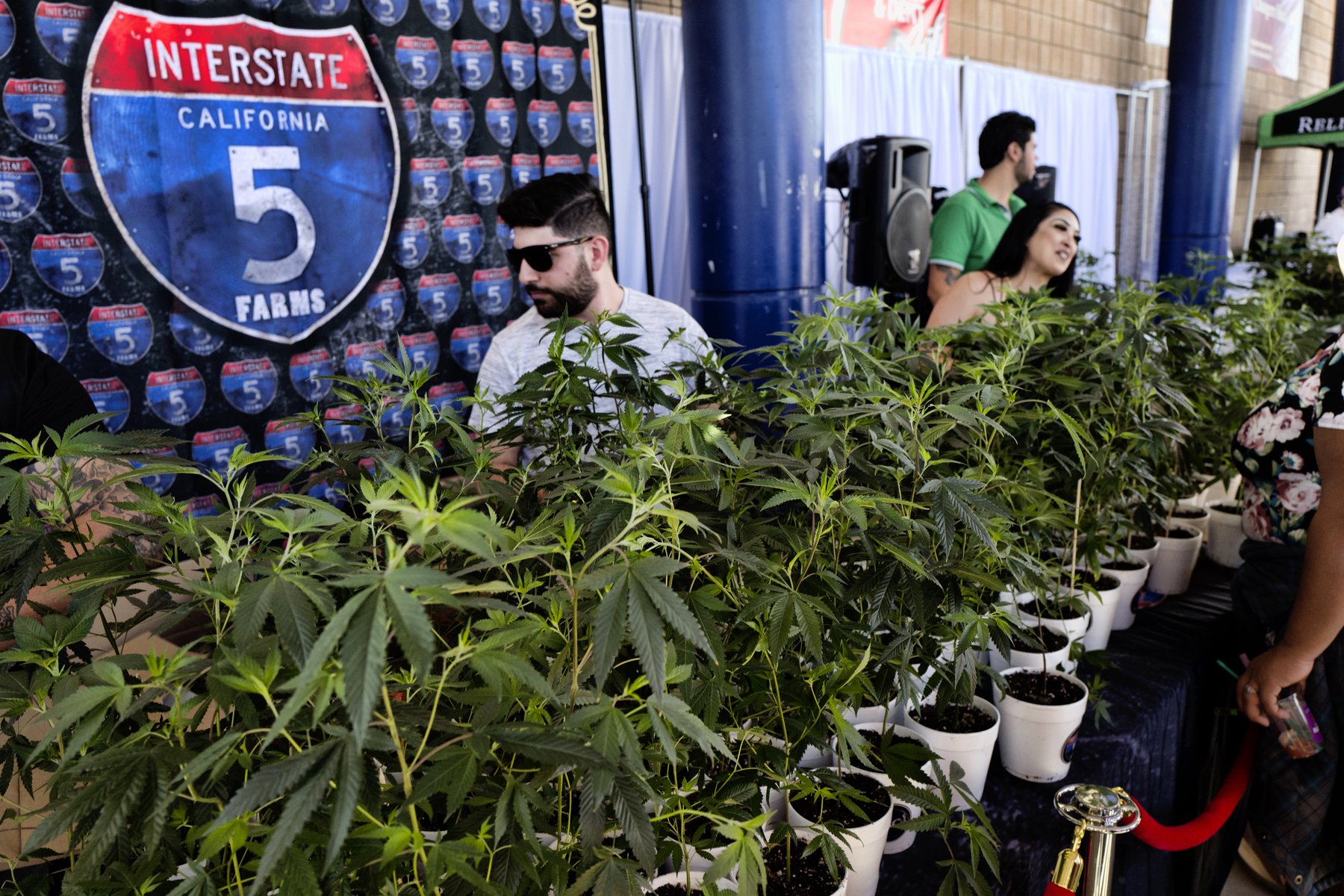 Where Is Pot Legal? - Best States - US News