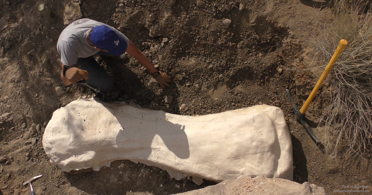 Bone of rare long-necked dinosaur found in Southern Utah desert image