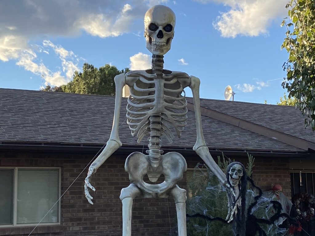 Utah Grizzlies celebrate Halloween in skeleton style —
