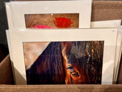 Kay Lynn Reilly Photography is displayed as prints available for purchase, Ivins, Utah, May 15, 2022 | Photo by Jessi Bang, St. George News