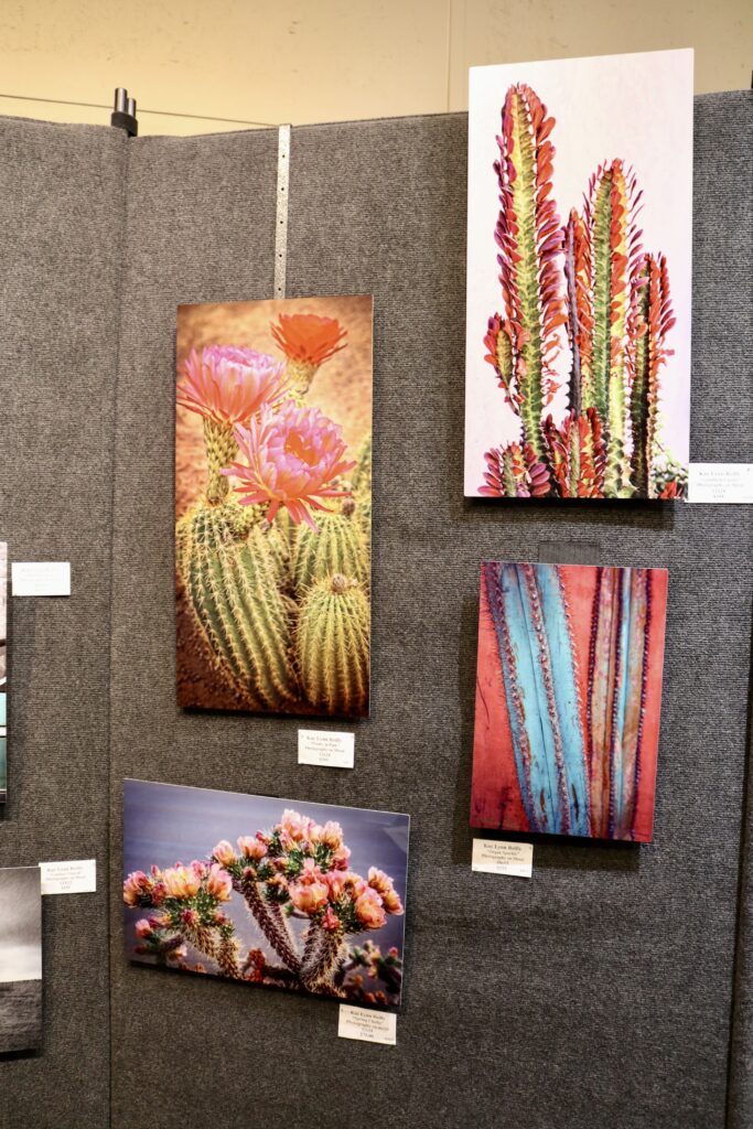 Photography by Kay Lynn Reilly is on display at Gallery 873, Ivins, Utah, May 15, 2022 |  Photo by Jessi Bang, St. George News
