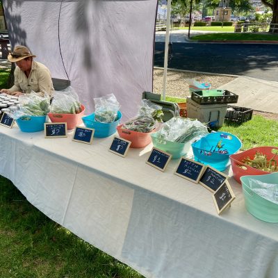 Fresh produce is sold at the Hurricane Farmers Market, Hurricane, Utah, date unspecified | Photo courtesy of Annie Spendlove, St. George News