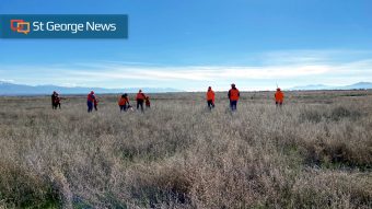 Utah - Wildlife  BUREAU OF LAND MANAGEMENT
