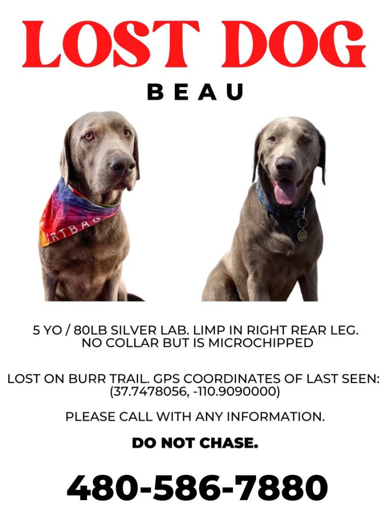 Our DOG IS MISSING!! HELP US FIND HIM..