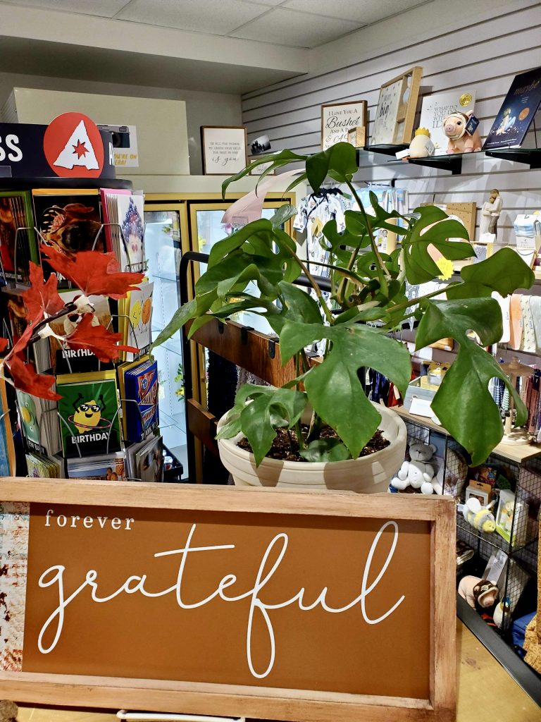 A plant by Thrive Indoor Plants is for sale in the gift shop at Intermountain Healthcare Hospital in St. George, Utah |  Photo by Kayla Klein, St. George News