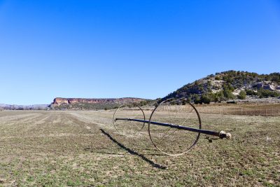 A wide open field at Buck Brand Beef is a popular spot for deer, Kanab, Utah, March 16, 2023 | Photo by Jessi Bang, St. George News
