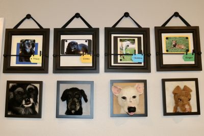 A memorial wall features four dogs needle-felted by Debbie Hussey in St. George, Utah on March 22, 2023 | Photo by Jessi Bang, St. George News