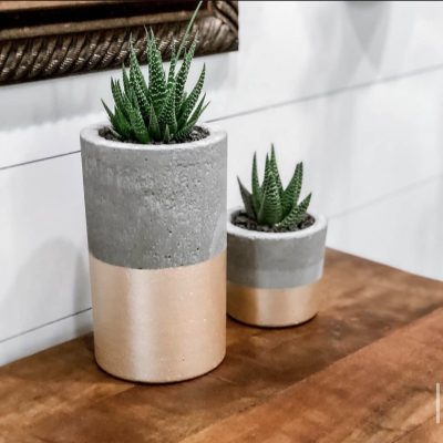 Succulents are placed in cement pots made by Rock Fanene, location and date unspecified | Photo courtesy of Melynda Fanene, St. George News