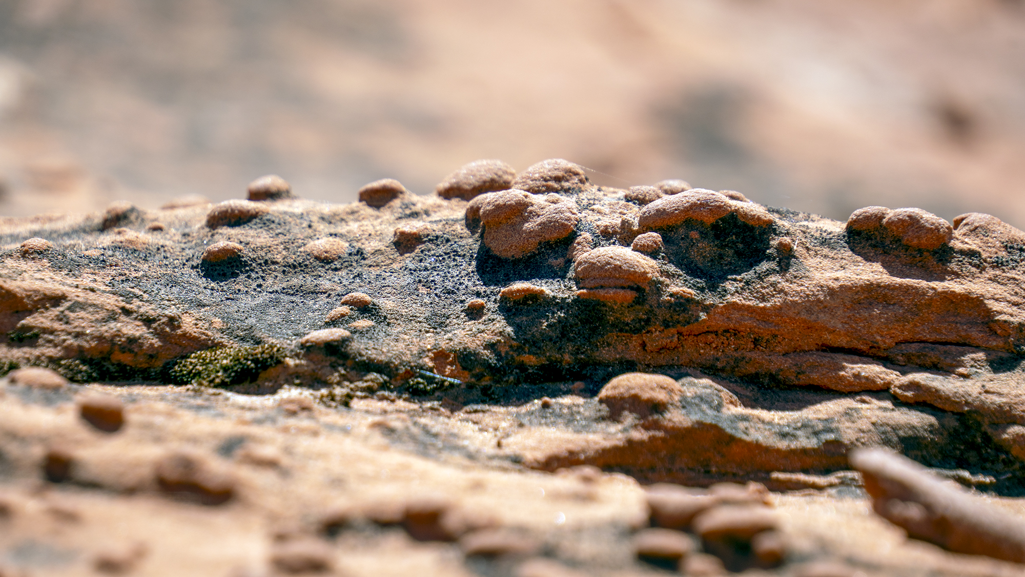 Rockhounding in Southern Utah: What do you need to know? – St George News