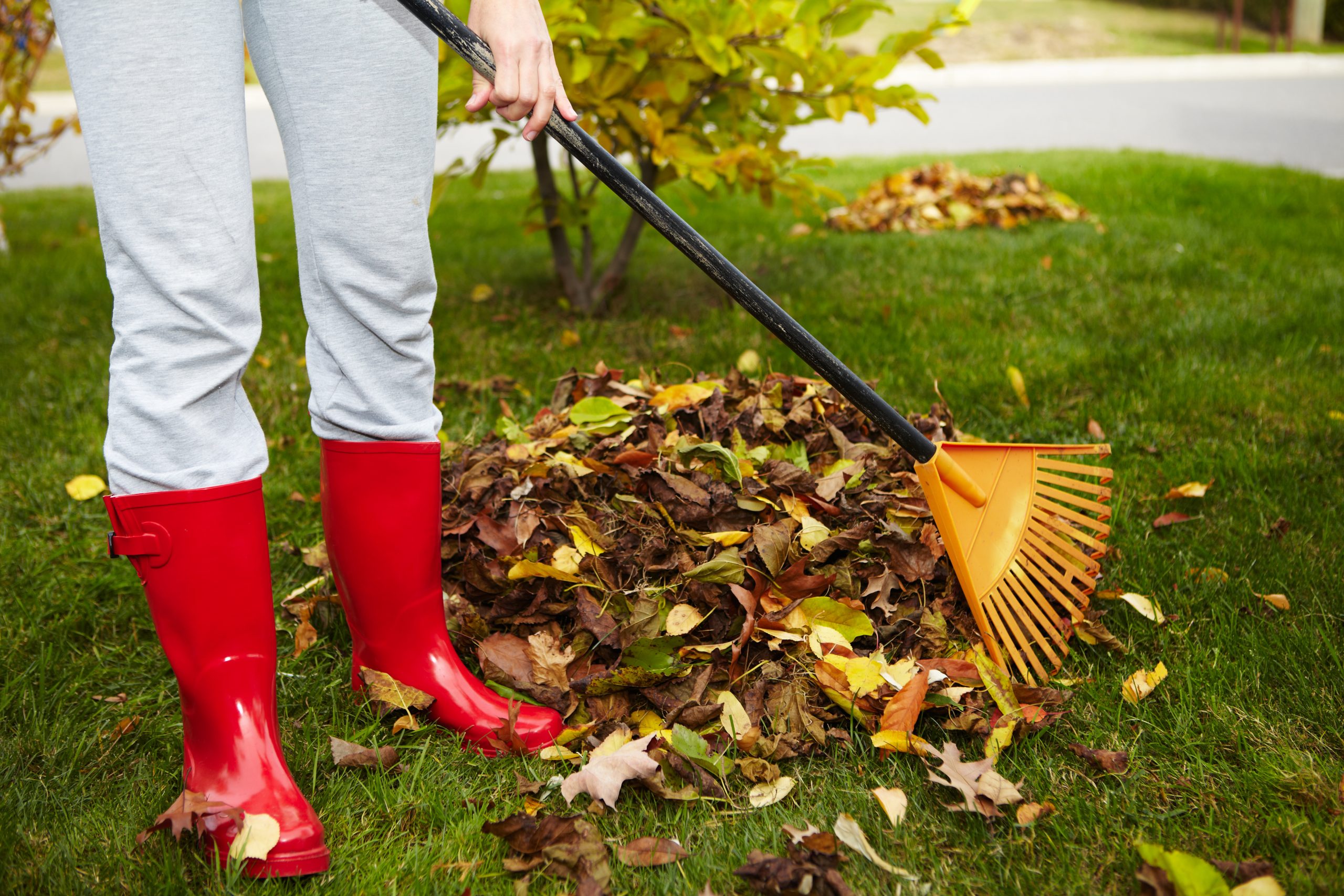 Fall Garden Tool Maintenance: Essential Tips