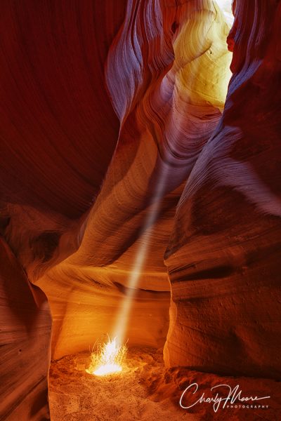 "The Burning Bush" photographed by Charly Moore features a light beam as it hits sage brush in Antelope Canyon, Arizona, date unspecified | Photo courtesy of Charly Moore, St. George News